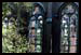 Les ruines et la d�solation