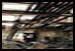 Les ruines et la d�solation