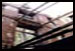 Les ruines et la d�solation