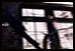 Les ruines et la d�solation