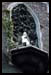 La vierge �pargn�e du feu