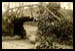 Petit pont en b&eacute;ton